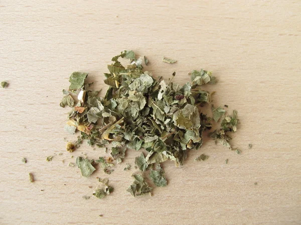 Листья ежевики, Rubi fruticosi folium — стоковое фото