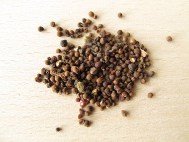 Autumn crocus seeds, Colchici semen clipart