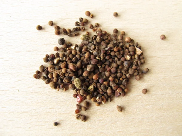 Autumn crocus seeds, Colchici semen — Stock Photo, Image