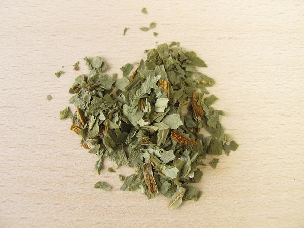 Allii ursini herba ramsons 잎 — 스톡 사진