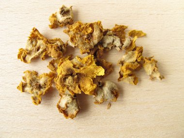 Turuncu sığırkuyruğu, verbasci flos