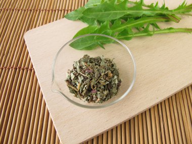 Dandelion root and leaves, Taraxaci radix cum herba clipart