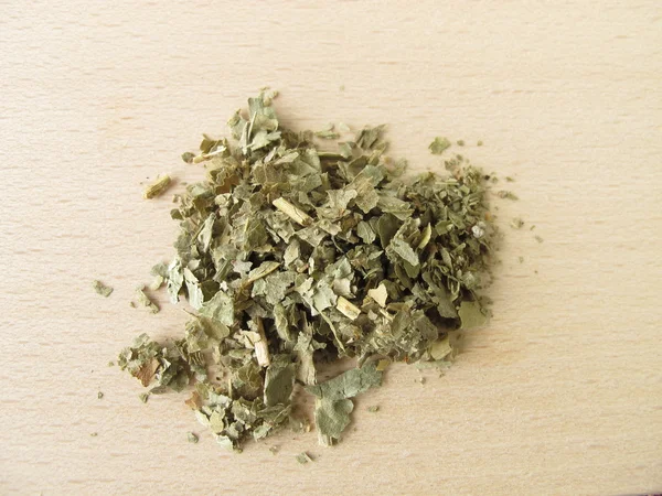Lady's mantel, alchemillae herba — Stockfoto