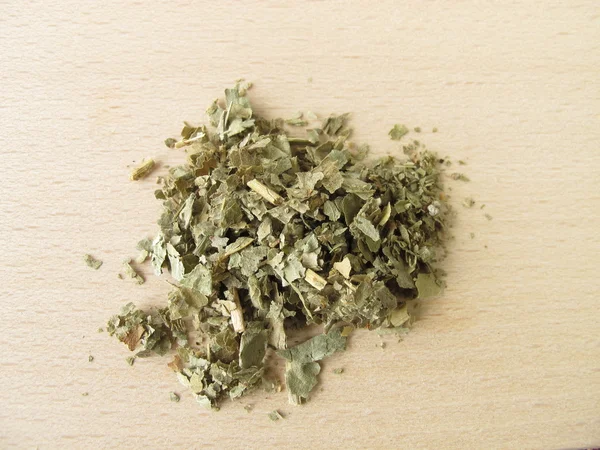 Manteau de dame, Alchemillae herba — Photo