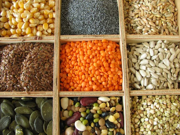 stock image Collecting box with cook and baking ingredients