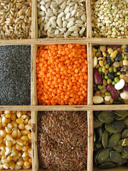 stock image Collecting box with cook and baking ingredients