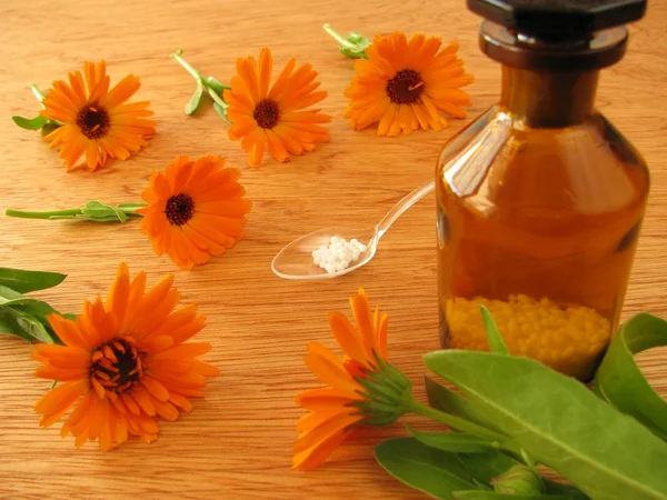 Flores de calêndula e pílulas homeopáticas — Fotografia de Stock
