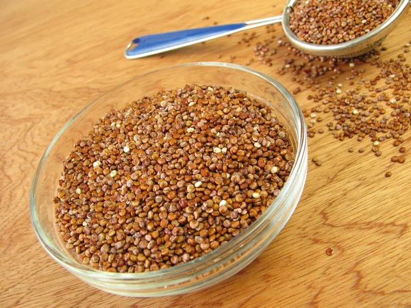 Kırmızı quinoa — Stok fotoğraf