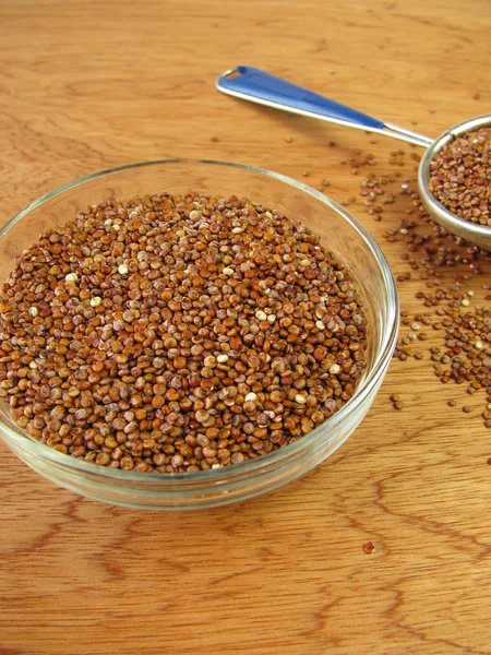 Red quinoa — Stock Photo, Image