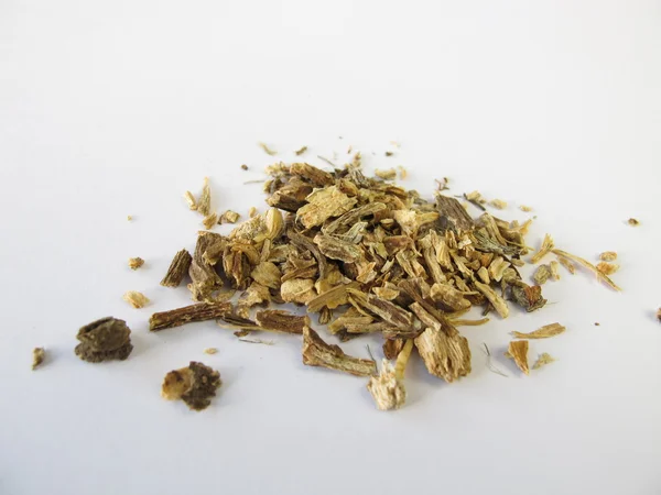 Echinacea root, Echinaceae angustifoliae radix — Stock Photo, Image