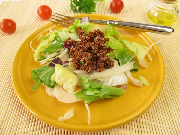 Salad with cooked red quinoa — Stock Photo, Image