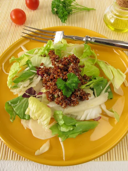 Salada com quinoa vermelha cozida — Fotografia de Stock