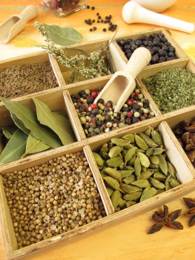 Spice box with pepper, marjoram, coriander and other spices clipart