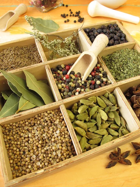 Caixa de especiarias com pimenta, manjerona, coentro e outras especiarias — Fotografia de Stock