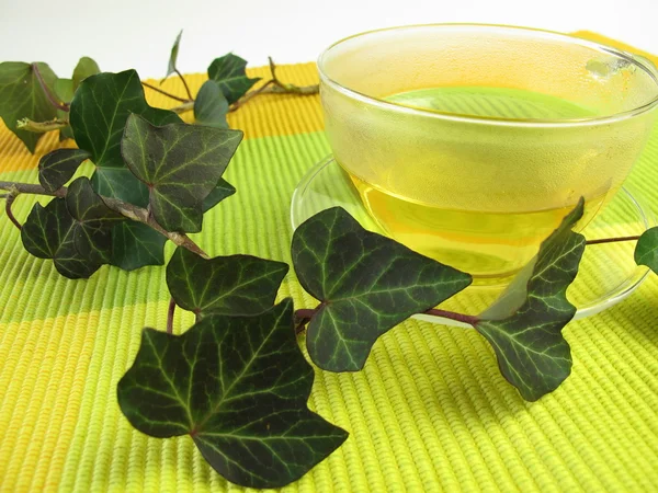 stock image Tea with ivy