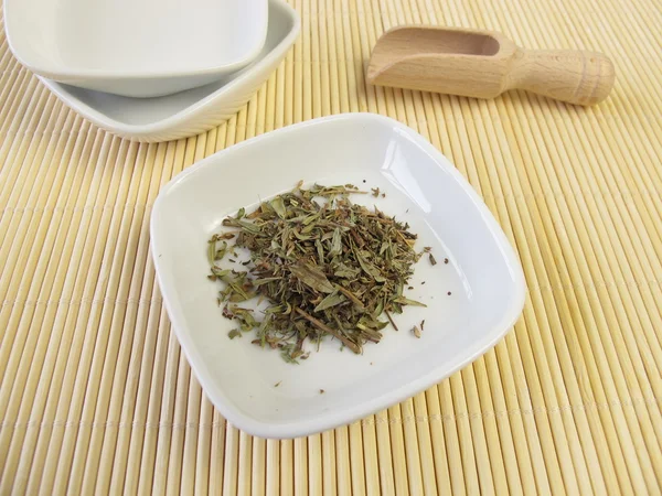 Дикого тимьяна, Serpylli herba — стокове фото