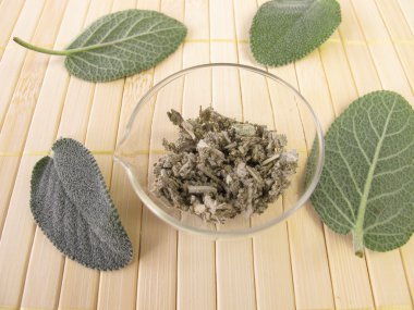 Garden sage, Salviae folium clipart