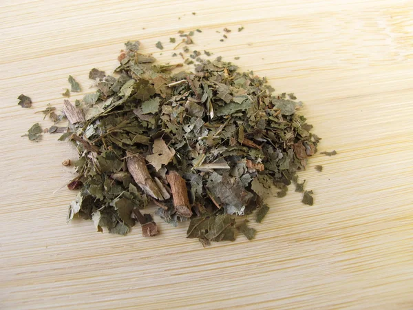 Haselnussblätter, Hamamelis folium — Stockfoto