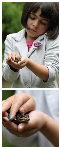 The frog and the girl — Stock Photo, Image