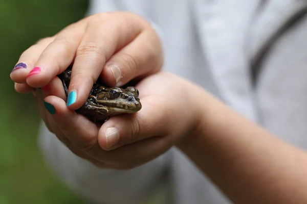 The frog and the girl — Stock Photo, Image