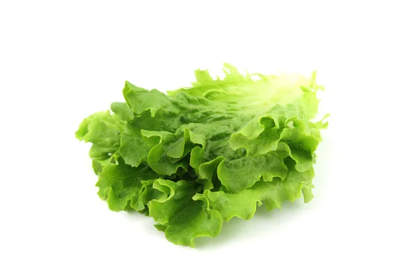 Salade isolée — Photo