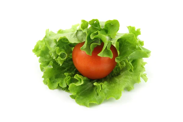 Domates salatası üzerine — Stok fotoğraf