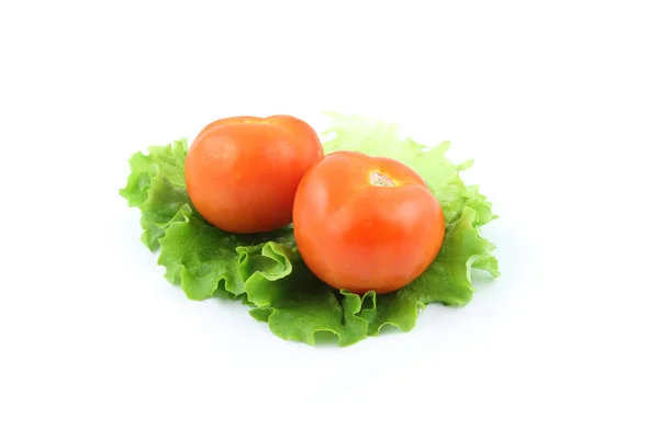 Domates salatası üzerine — Stok fotoğraf