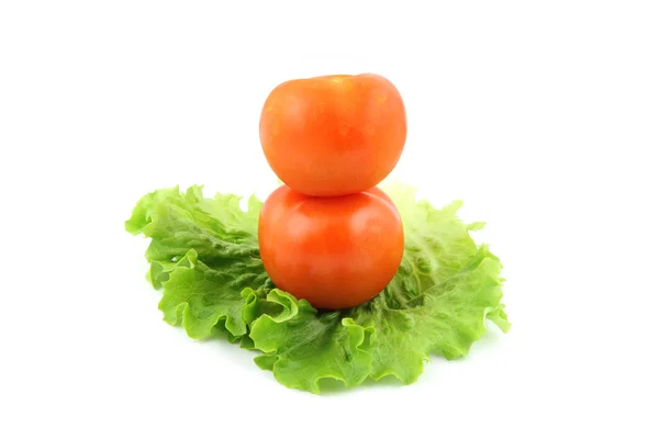 Tomato on salad — Stock Photo, Image
