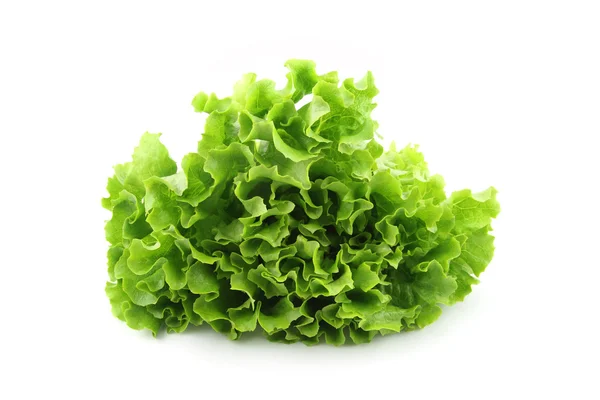 Salade geïsoleerd — Stockfoto