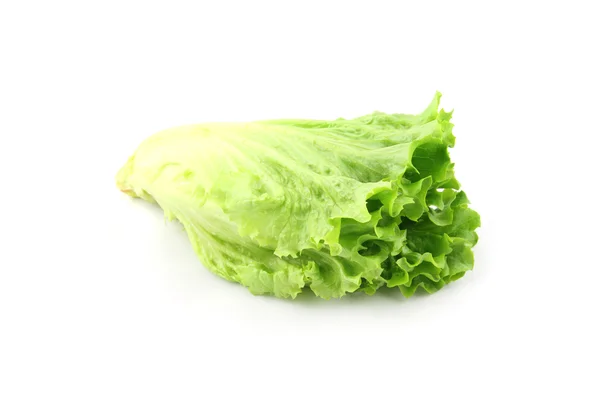 Salad isolated — Stock Photo, Image