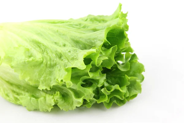 Salade geïsoleerd — Stockfoto