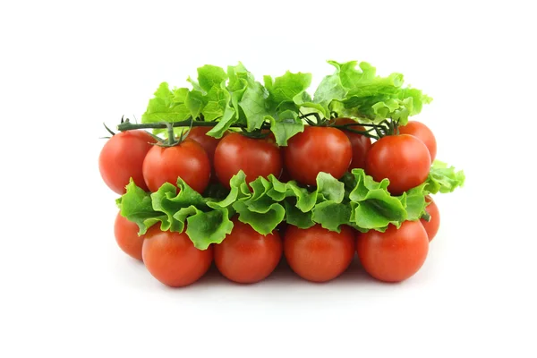 Tomate cerise sur salade — Photo