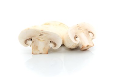 Agaricus bisporus