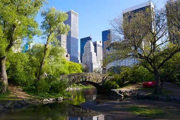 Central Park — Stock Photo, Image