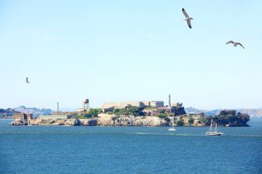 Alcatraz Hapishanesi