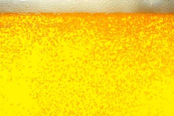 stock image Cold Beer