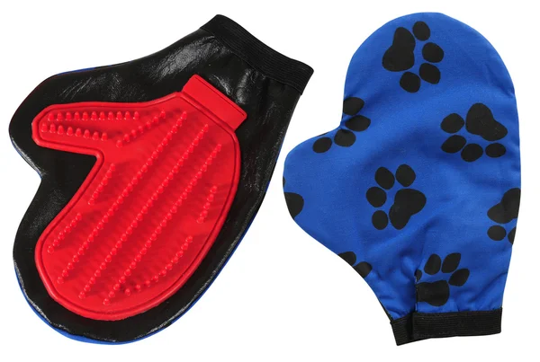 Dog glove. — Stock Photo, Image