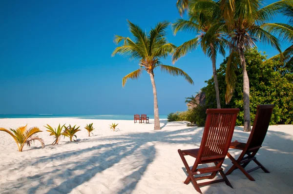 Beach chairs on a perfect tropical island — Stock Photo, Image