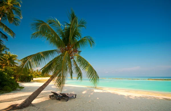 Холст стулья на тропическом пляже — стоковое фото