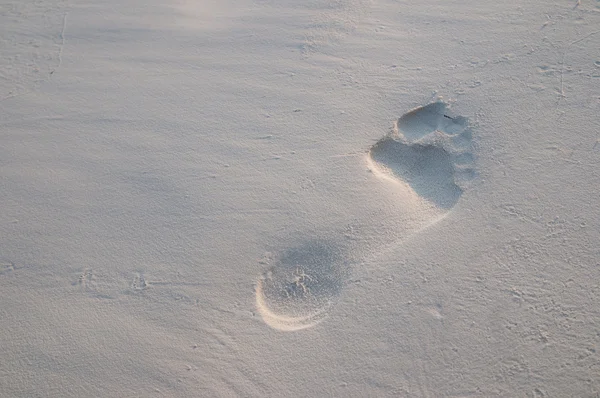 stock image Footsteps in the sand