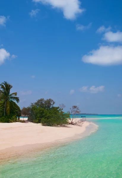 Playa tropical virgen —  Fotos de Stock