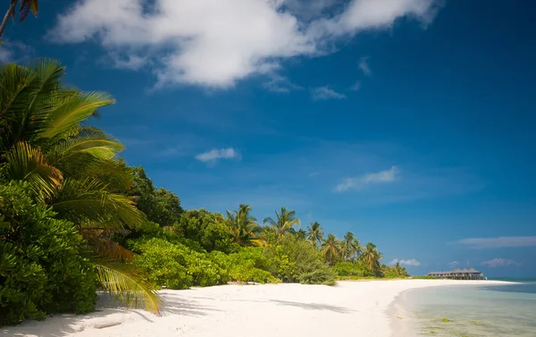 Praia tropical perfeita com areia branca nas maldivas — Fotografia de Stock