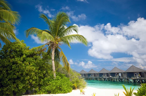 Tropická pláž s výhledem na vodní bungalovy — Stock fotografie