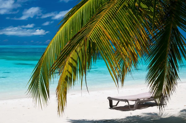 Πανέμορφη τροπική παραλία σχετικά με τις Μαλδίβες — Φωτογραφία Αρχείου