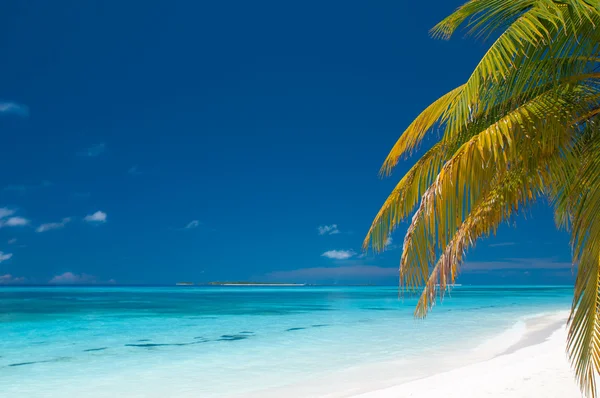 Schöner unberührter tropischer Strand — Stockfoto