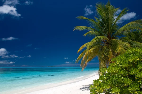 Yaz aylarında bir tropikal plaj — Stok fotoğraf