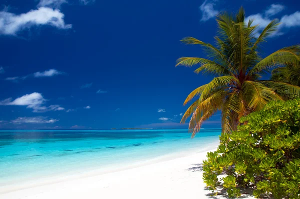 Estate in una spiaggia tropicale — Foto Stock