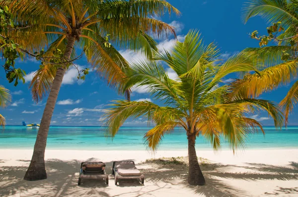 Espreguiçadeiras em uma bela praia tropical — Fotografia de Stock