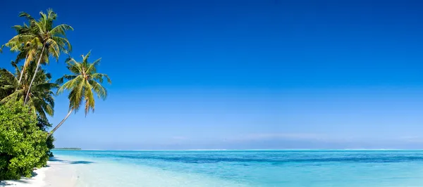 Tropická pláž s kokosovými palmami, panoramatický pohled s mnoho kopií prostoru — Stock fotografie