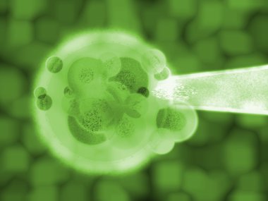3d Green Plant Cell Matter Medical Illustration clipart